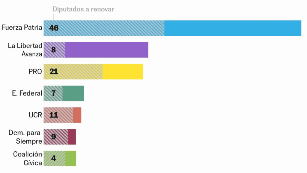 Qué se elige en las elecciones legislativas de Argentina y por qué son cruciales