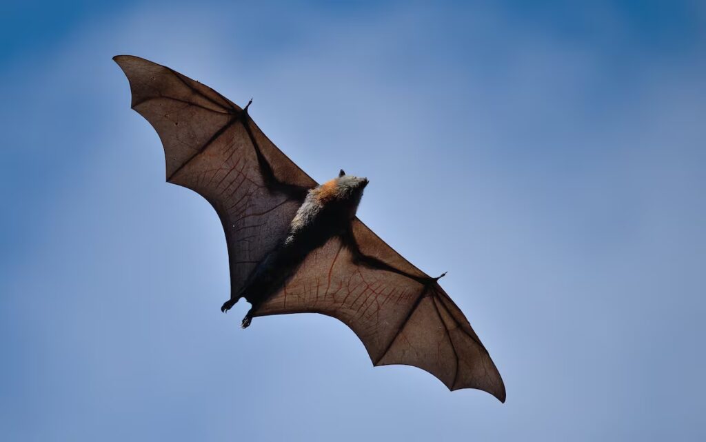 El juego del lenguaje: Estrategias para dominar la comunicación