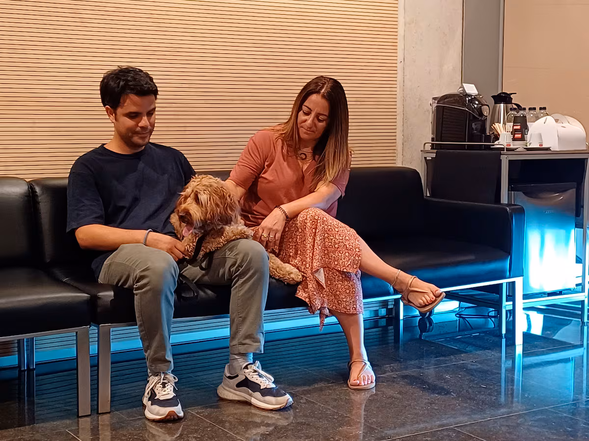 Emotivos adiós: Perros y gatos se despiden en tanatorio de Badalona
