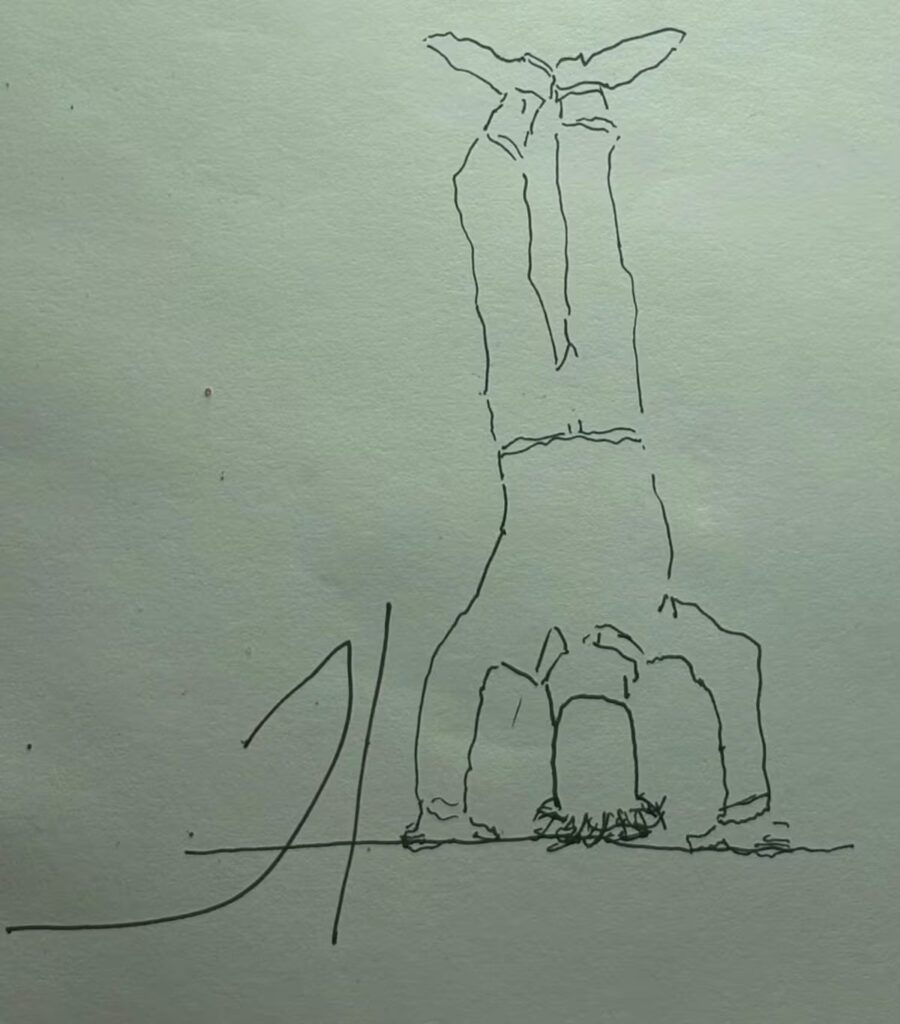 Éxito rotundo: La increíble voltereta de Juan en el campeonato