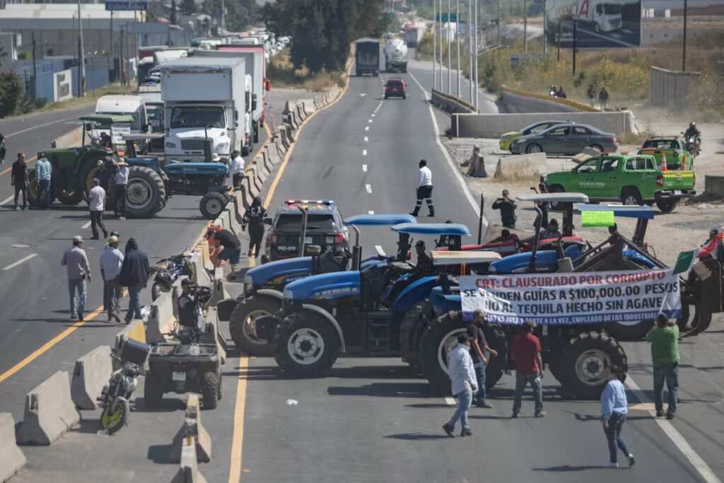 Gobierno de México aumentará 25% pago a productores de maíz blanco en el Bajío