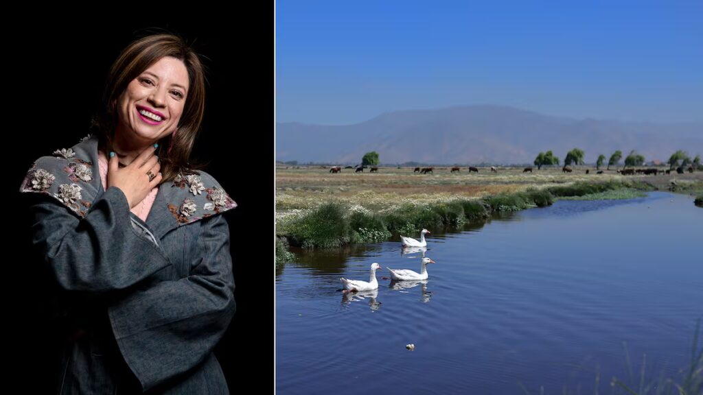 Las 10 Paradas Imperdibles de la Alcaldesa de Quilicura: Su Historia como Peluquera