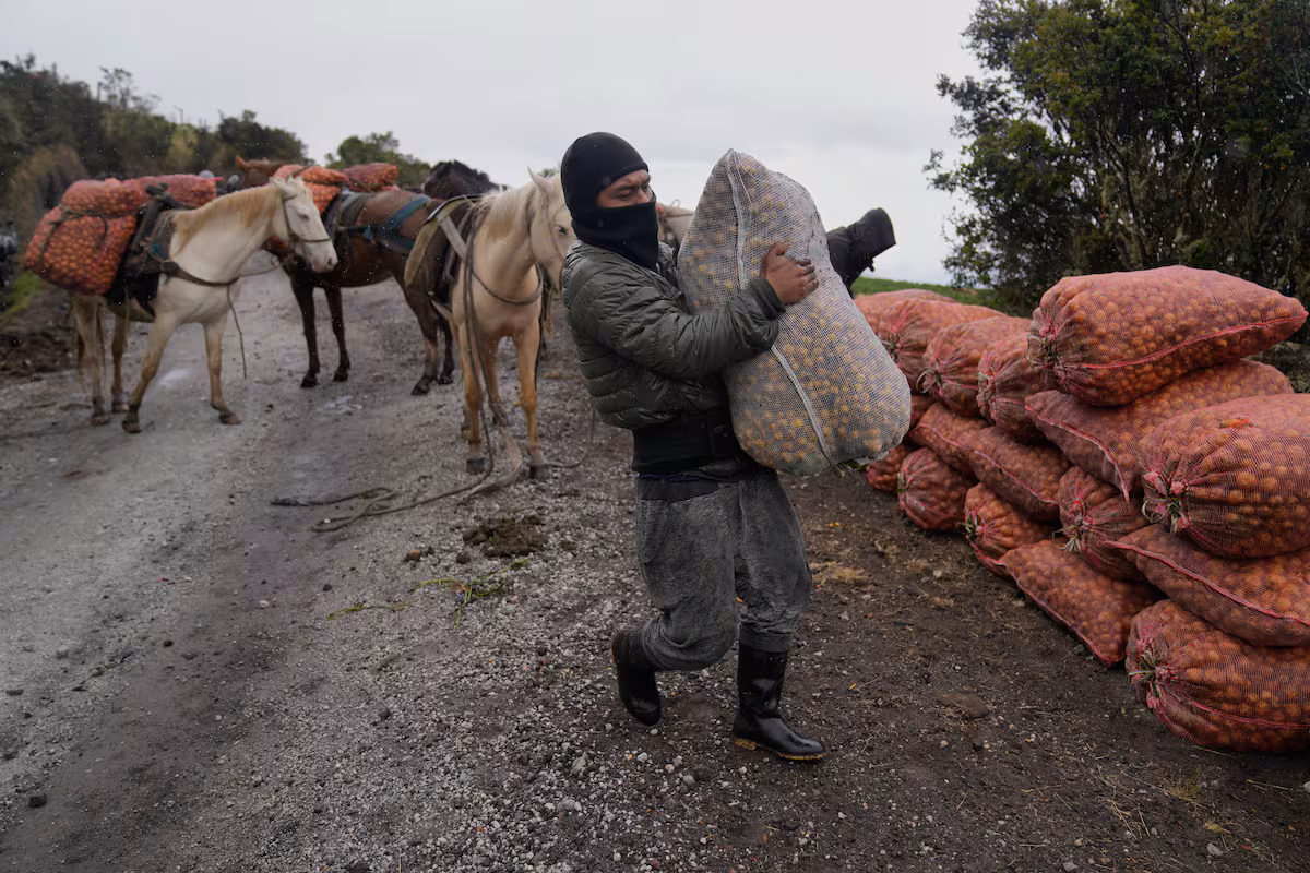 Bajo la sombra del volcán Puracé: la vida de una comunidad indígena