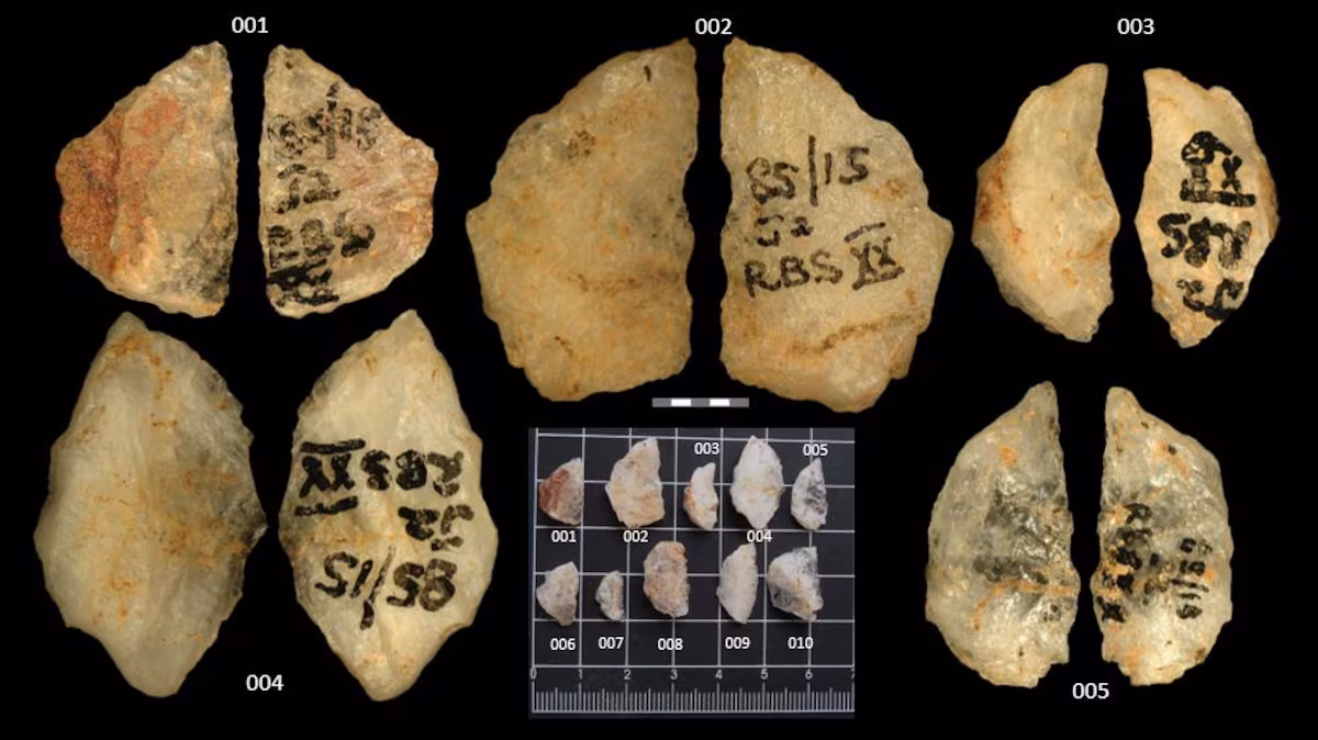 Descubren veneno en flechas de hace 60,000 años: la prueba más antigua