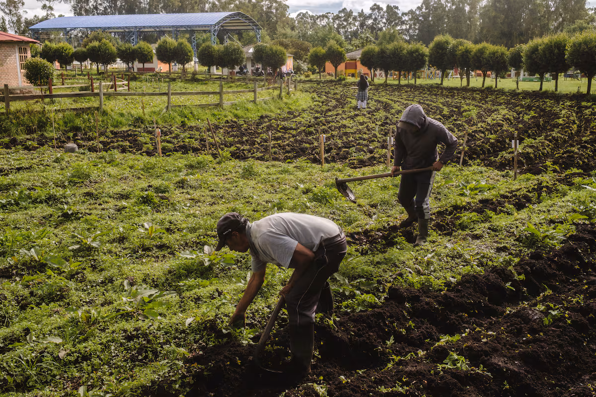 Reforma Agraria: Clave para Combatir la Degradación del Suelo