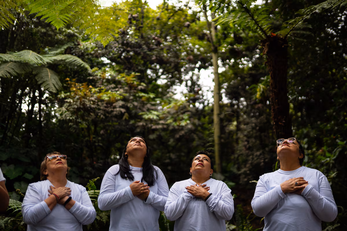 El Jardín Botánico de Bogotá: Terapia de Naturaleza en el Caos Urbano