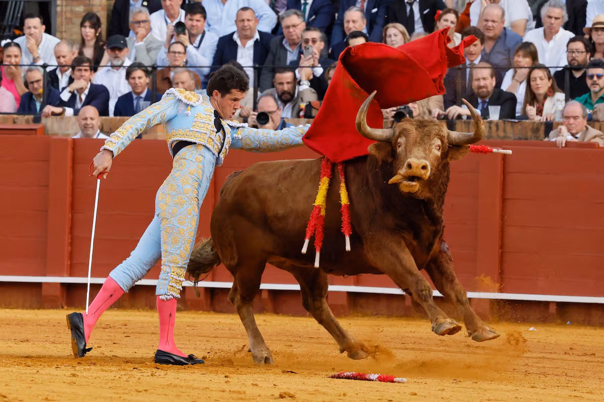 Deslumbrante espectáculo de magia cautiva a la audiencia en [nombre del lugar]