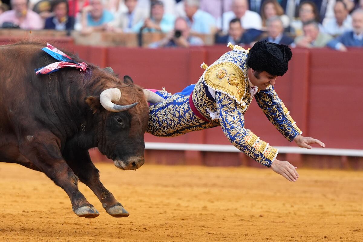 Morante de la Puebla en estado crítico tras ser corneado en La Maestranza