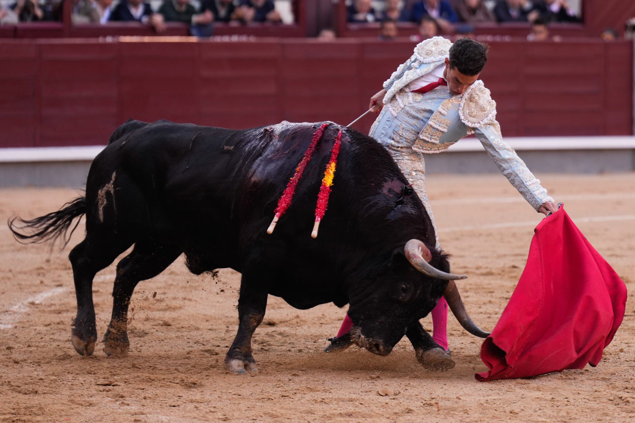 El Corazón Torero de [Nombre del Protagonista] Atraviesa el Paso del Tiempo
