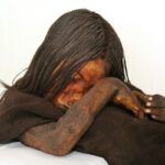 Nuevo estudio revela que el Niño del cerro El Plomo murió por trauma craneal, no por hipotermia